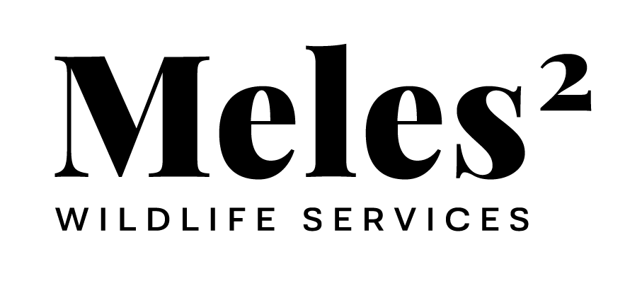 Meles Logo